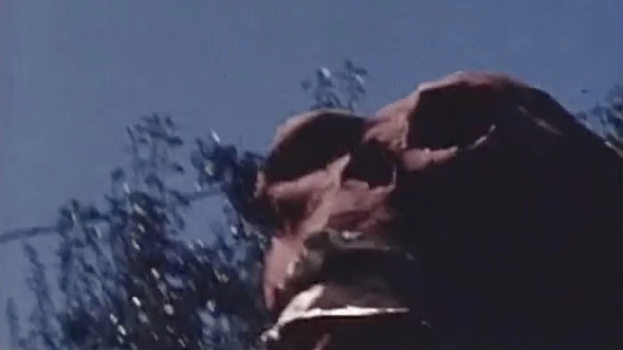 Imagem de Red Skull — Avengers: Doomsday – Russo brothers plan Cap & the Stones film