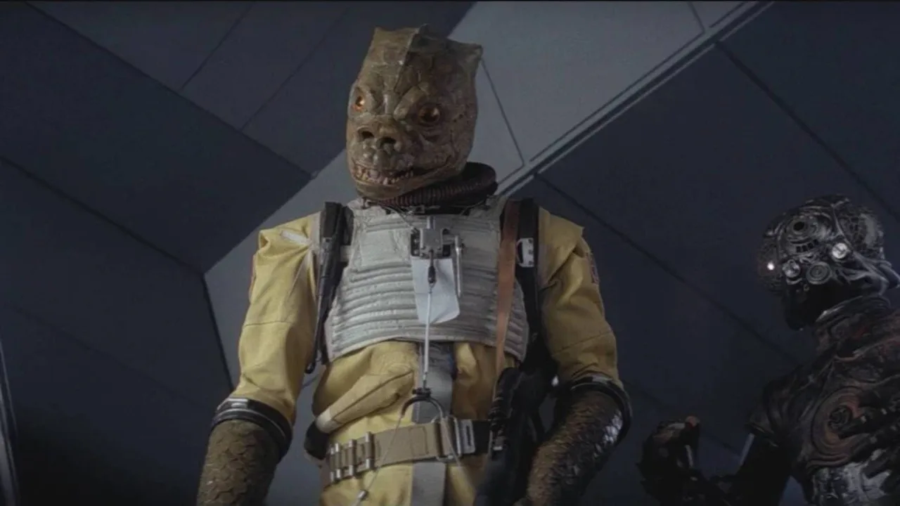 Coleção exposta mostra 19 figuras Kenner de Star Wars, algumas com assinaturas visíveis dos atores