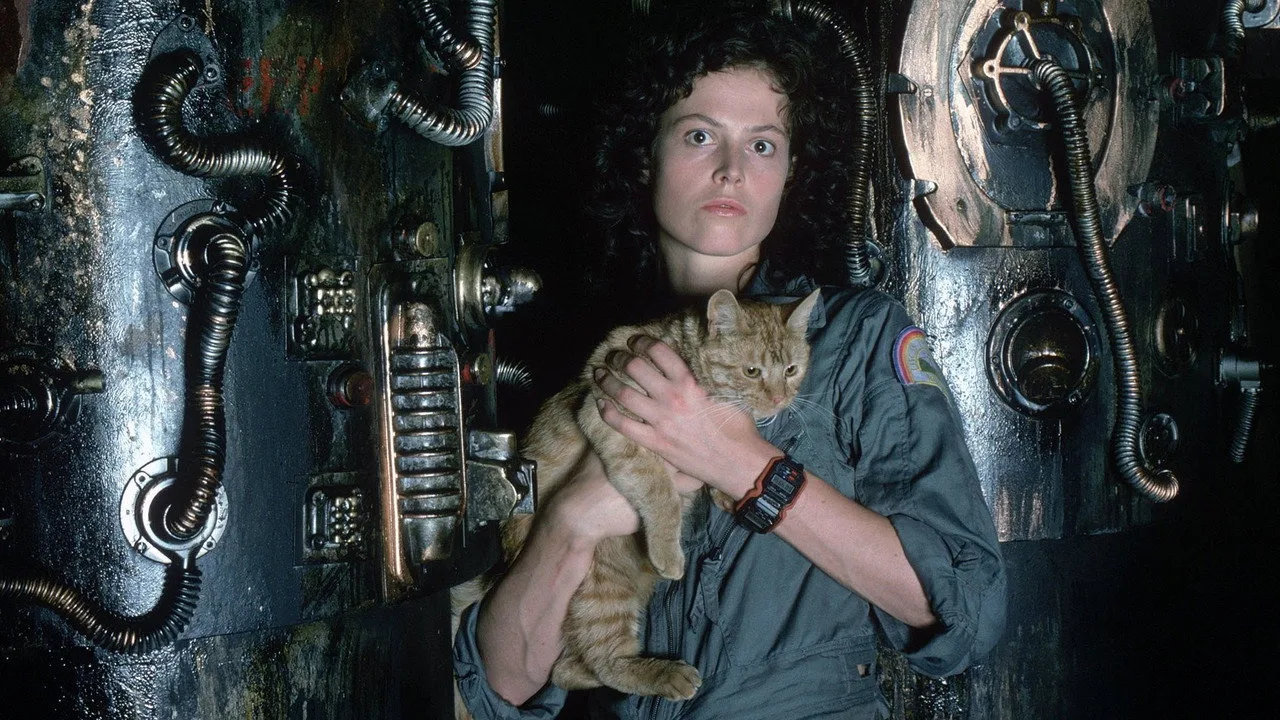 Imagem de Alien — Alien: novo filme confirmado, mas qual sequência?