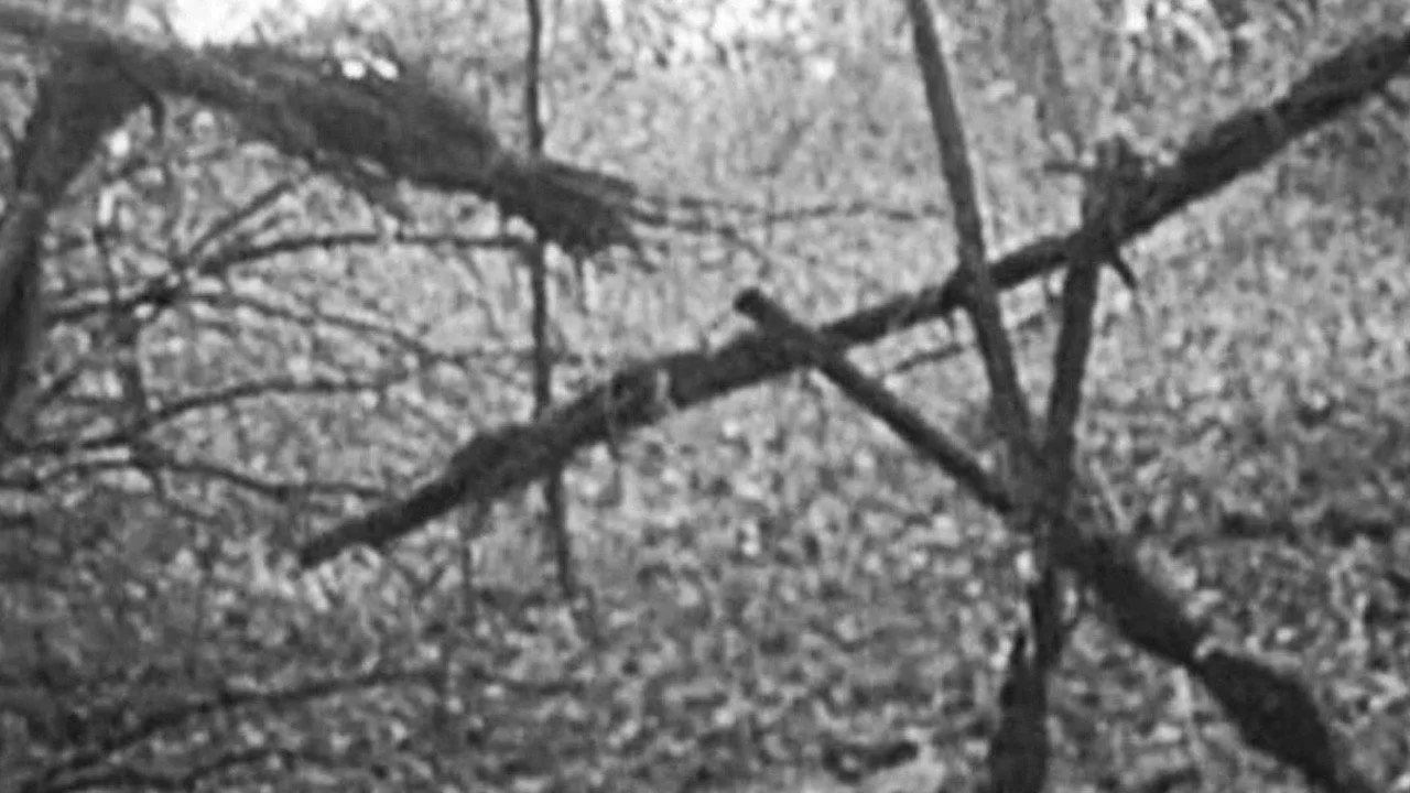 Mulher em leggings fazendo agachamento, segurando um controle remoto com capa da Blair Witch ao fundo