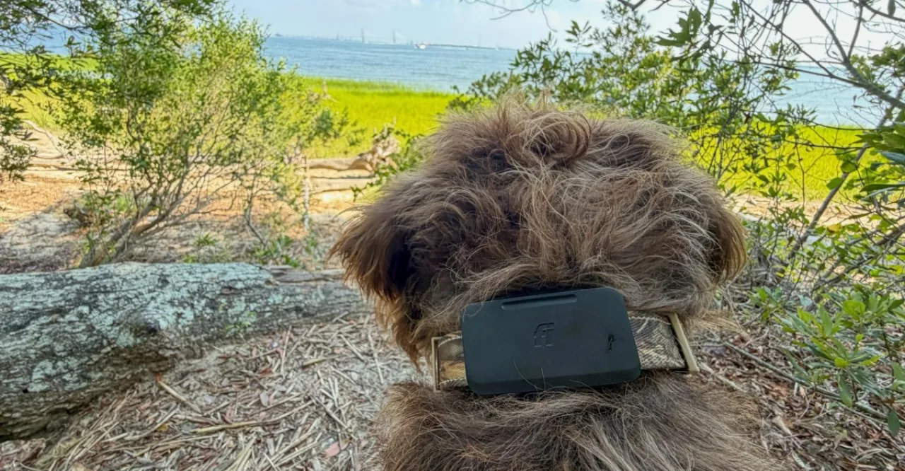 Corredor em trilha carregando mochila, com cachorro na coleira exibindo o Fi Ultra conectado ao satélite