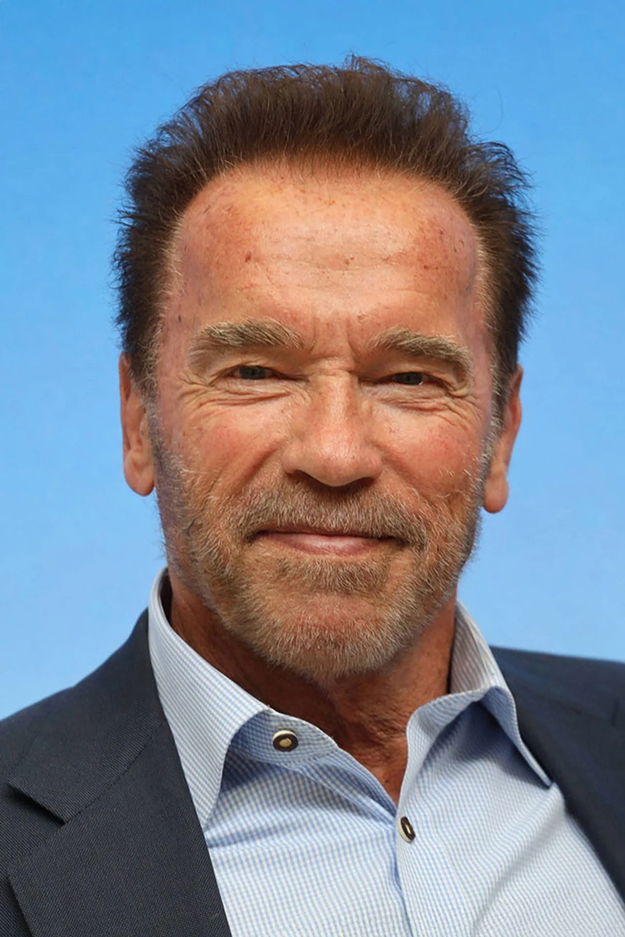 Imagem de Arnold Schwarzenegger — Arnold Schwarzenegger como Papai Noel em "The Man With the Bag"