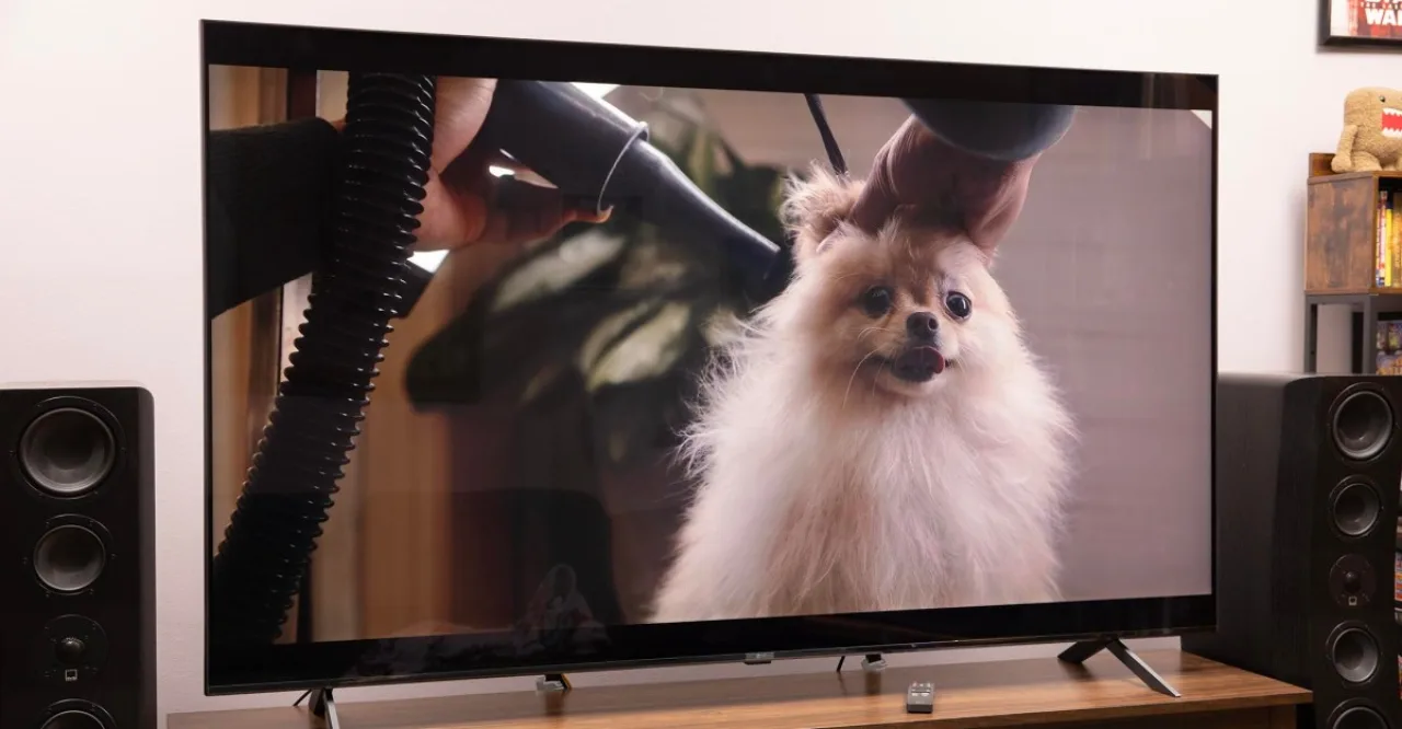 TV LG de 75" MRGB95B exibindo cores vibrantes ao lado de um OLED preto, com logos LG e OLED visíveis