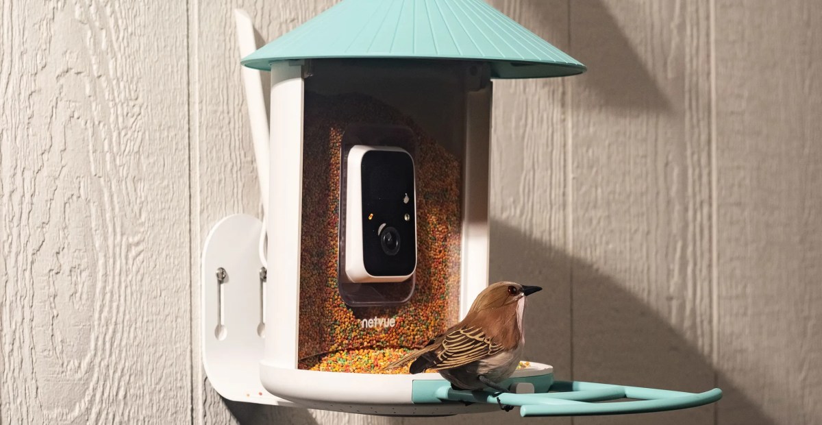 Pessoa segurando um smartphone, observando um alimentador de aves com câmera integrada pendurado num galho
