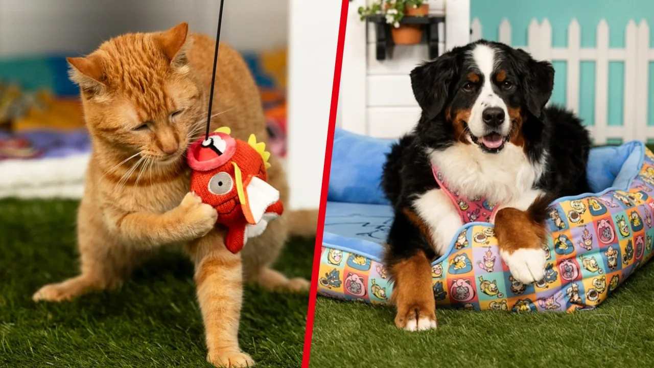 Cachorro usando coleira Pokémon colorida ao lado de tigela temática e cama estampada, tudo em ambiente iluminado