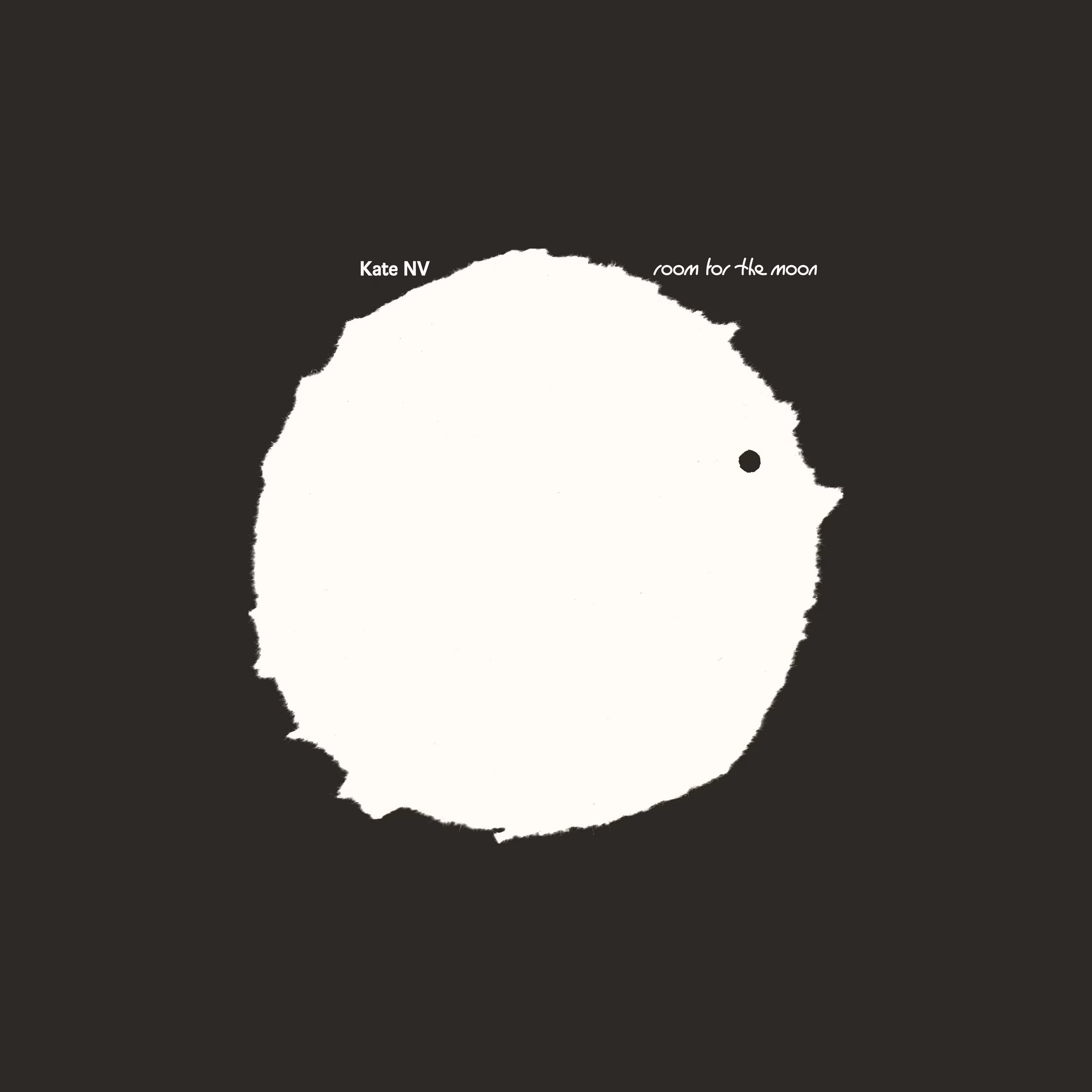 Room for the Moon: a estranheza fascinante do pop experimental que desafia rótulos