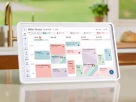 1ed2cfe4257f60a5253c6bb9a6337810