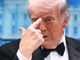 54d567651f1c5148c5e12700c883f847