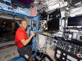 c2cbdc89b64b522a812fd0bd1a02f36a