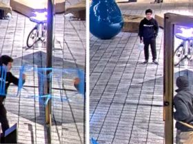 eccd20d8104f65c3273d0ae2404b4d49