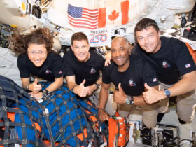 ed2f026309f71bc395c3f74a64e533ea