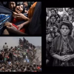 ed55b824b9e33025411528f5e3a1839c