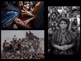 ed55b824b9e33025411528f5e3a1839c